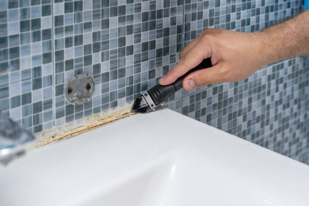 Best Home Mold Removal  in Belleair Bluffs, FL